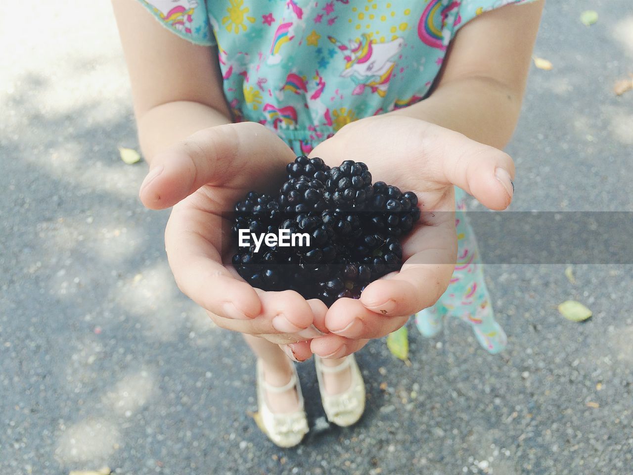 Close-up of girl holding blackberries