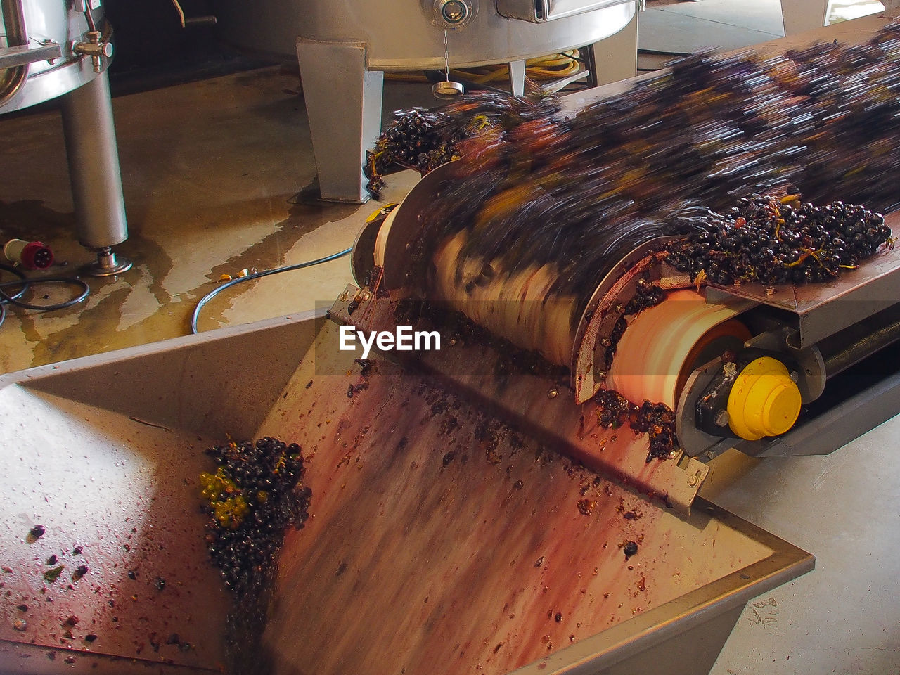 Grapes in crusher in industry