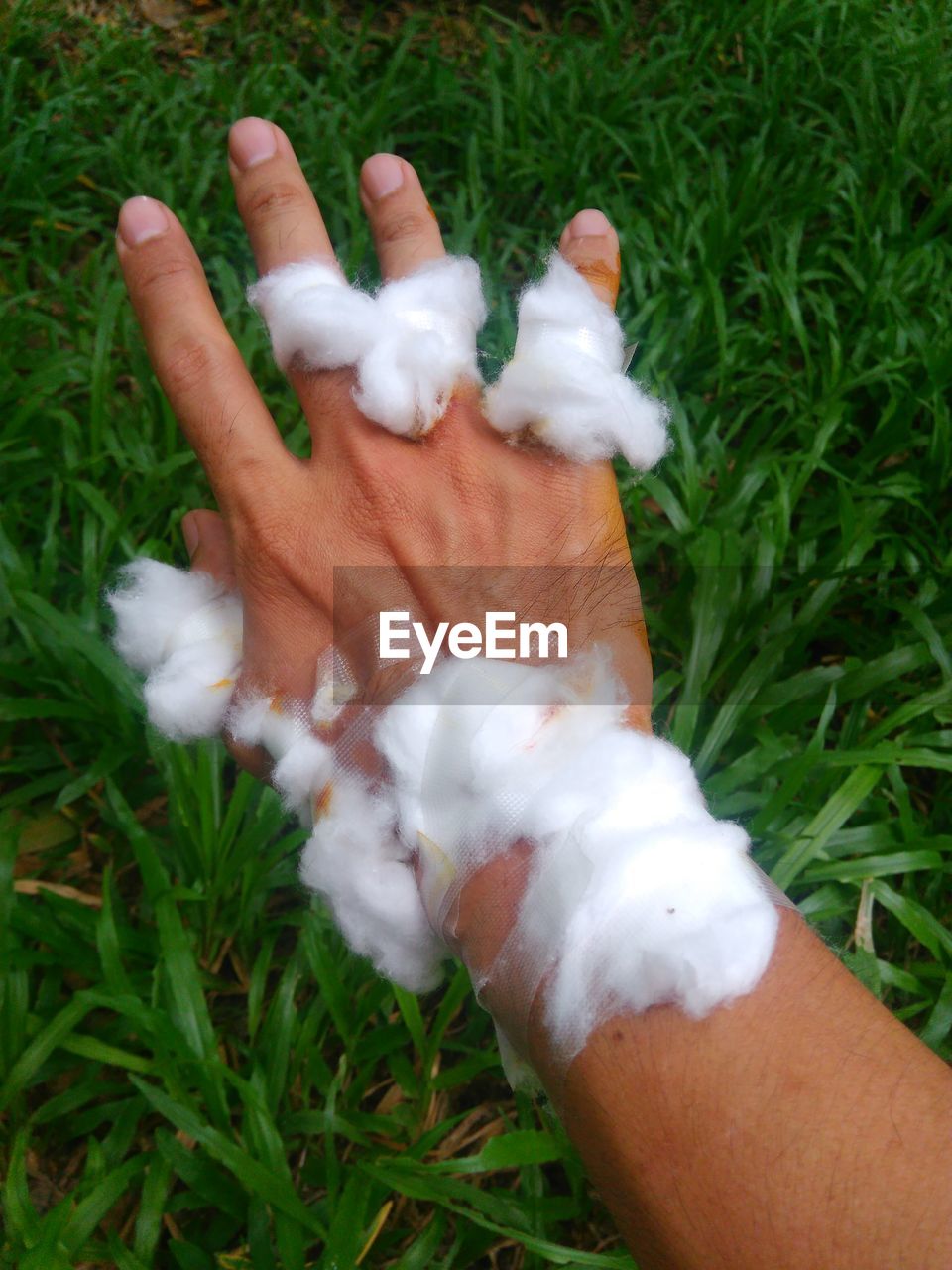 Cropped hand with cotton over grassy field