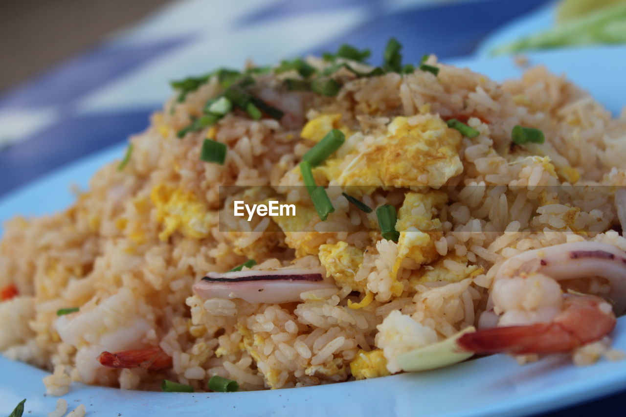 CLOSE-UP OF RICE WITH MEAT AND VEGETABLES IN PLATE