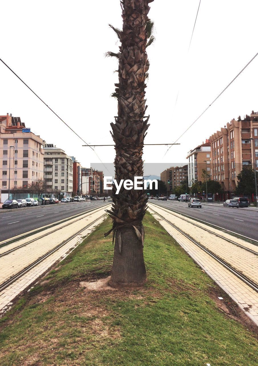 RAILROAD TRACKS AMIDST TREES AGAINST CLEAR SKY