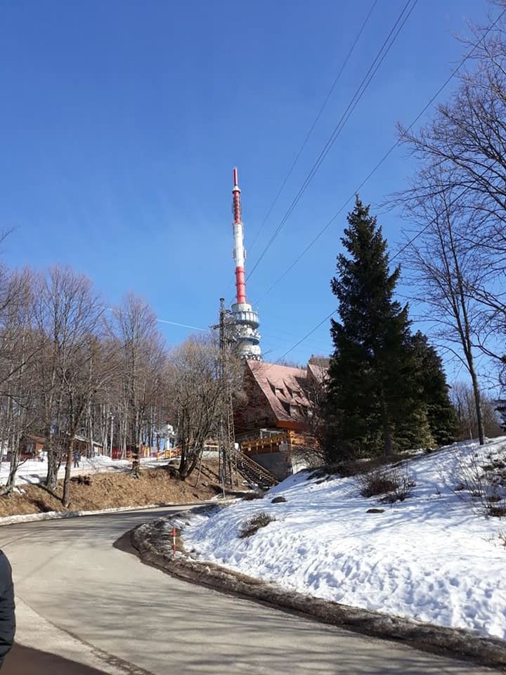 snow, winter, sky, cold temperature, tree, nature, technology, architecture, tower, plant, built structure, day, blue, clear sky, transportation, electricity, no people, frozen, power generation, communication, bare tree, outdoors, road, cable, building exterior, city, sunny