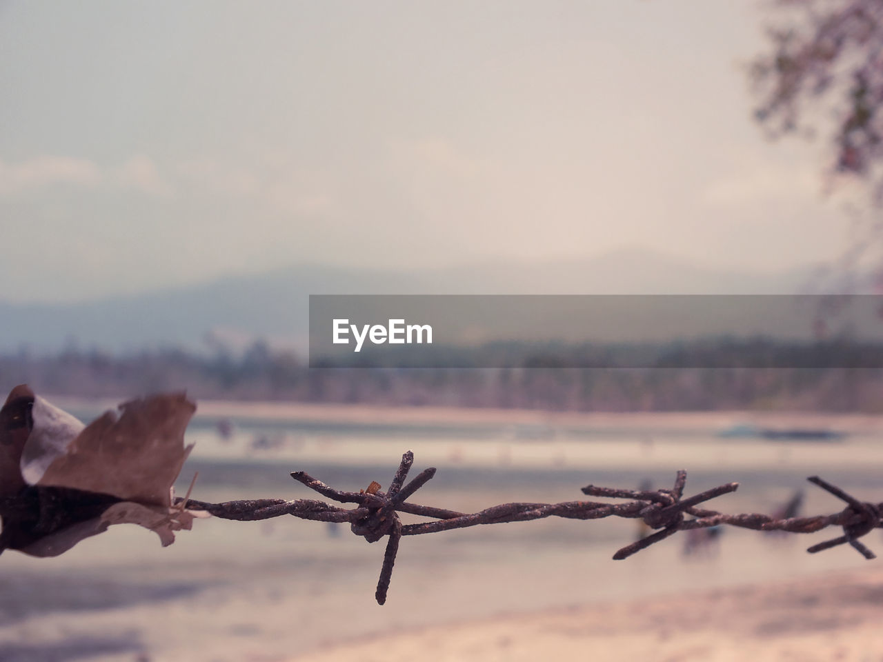 Close-up of rusty barb wire against sky during winter