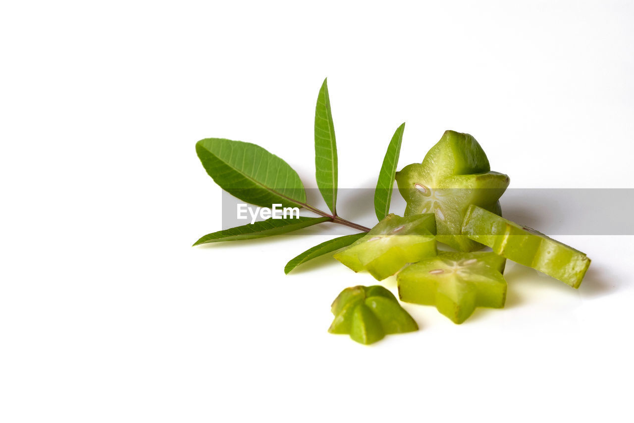 CLOSE-UP OF FRESH GREEN LEAVES AGAINST WHITE BACKGROUND