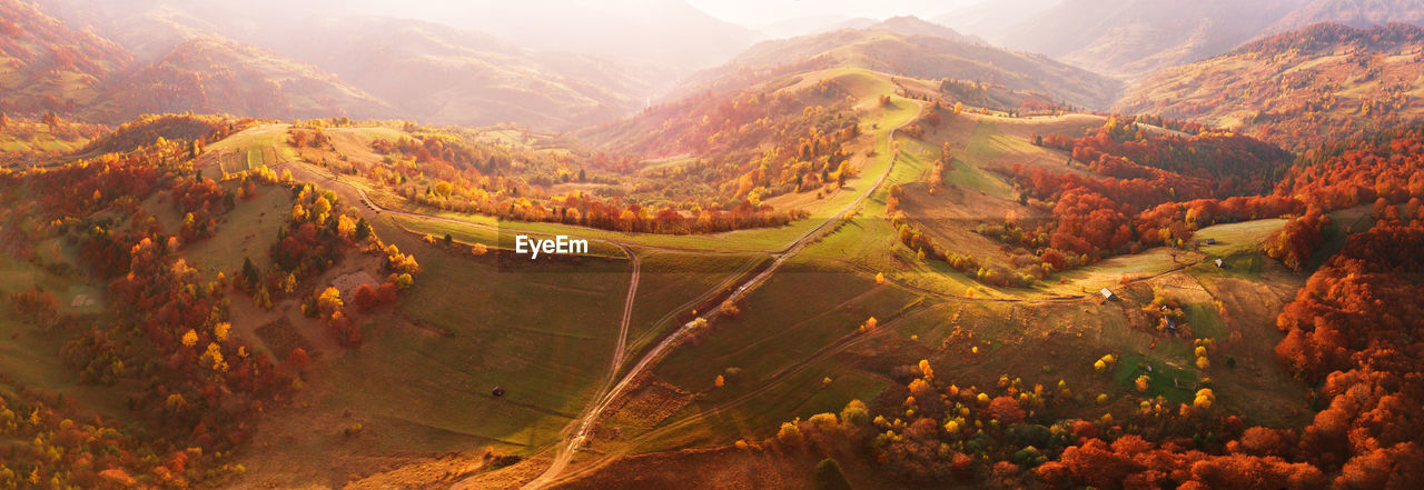 Autumn mountain panorama. sunny landscape meadow colorful forest. red, yellow, trees on hillsides