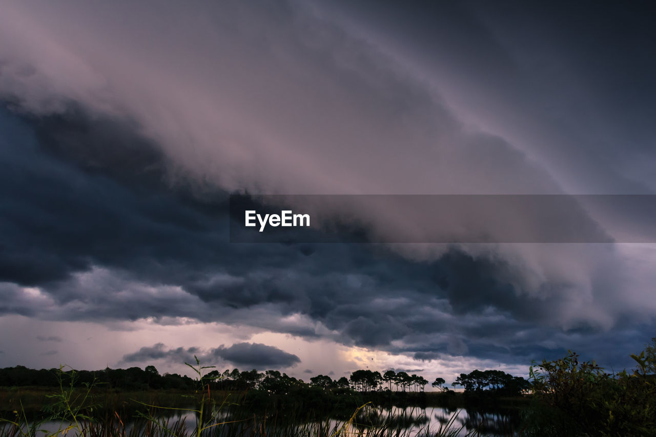 PANORAMIC SHOT OF STORM CLOUDS OVER TREES