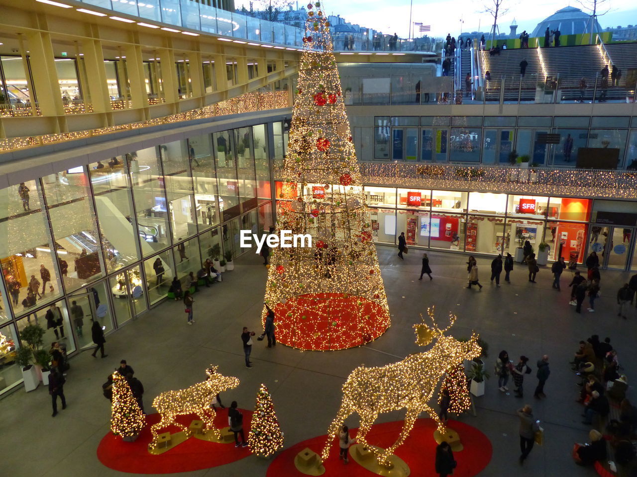 VIEW OF CHRISTMAS TREE AT NIGHT