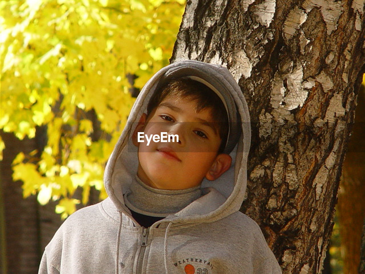 Portrait of boy in hooded shirt standing by tree trunk at park