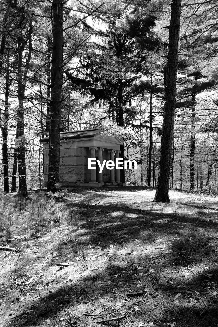 Old mausoleum in the forest