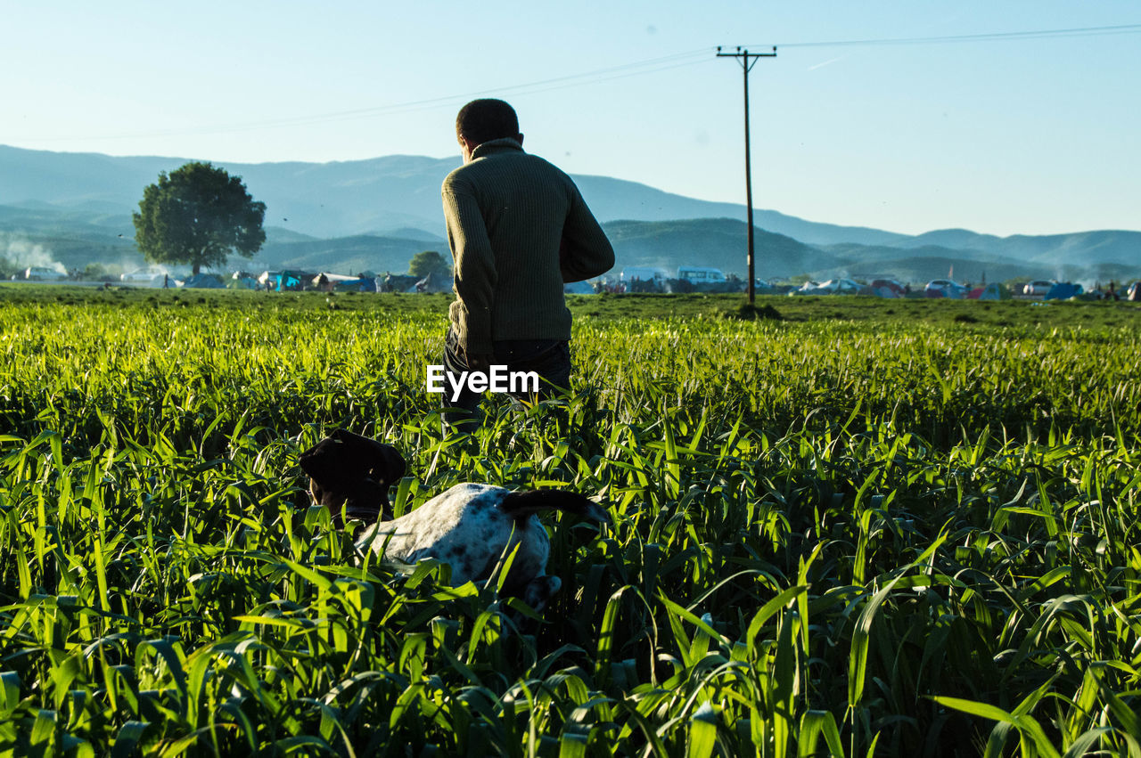 Rear view of man with dog on agricultural field