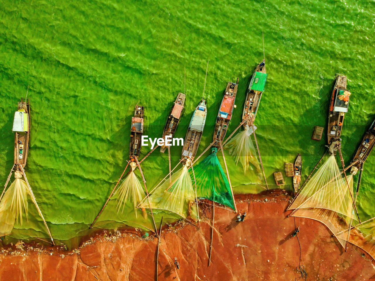 HIGH ANGLE VIEW OF PALM TREE LEAVES ON RIVERBANK