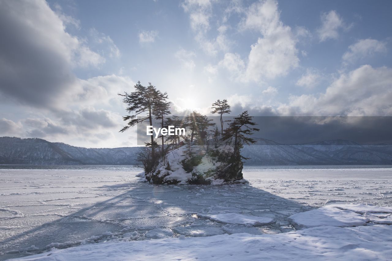 Trees on snow covered landscape against sky