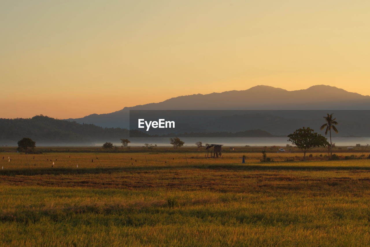 Beautiful landscape with mist and background of mountain during sunrise