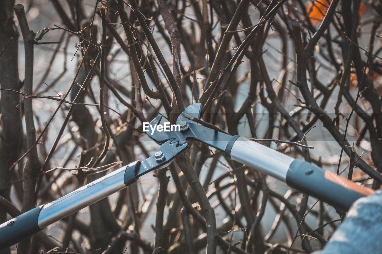 Cropped image of person holding pliers against bare tree