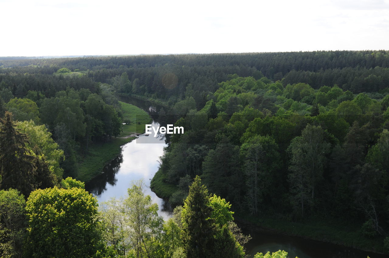 tree, nature, river, vegetation, forest, no people, landscape, tranquility, water, tranquil scene, scenics, beauty in nature, outdoors, growth, sky, day, clear sky