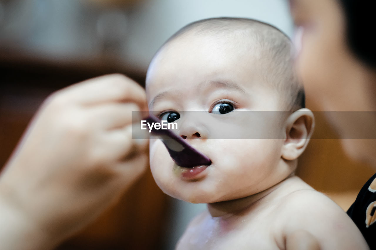 Close-up of feeding a cute baby boy