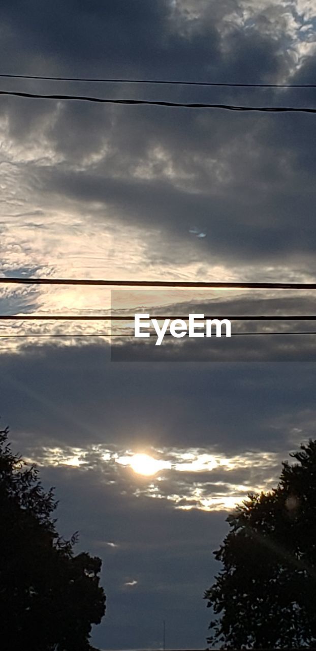 LOW ANGLE VIEW OF TREES AGAINST SKY DURING SUNSET