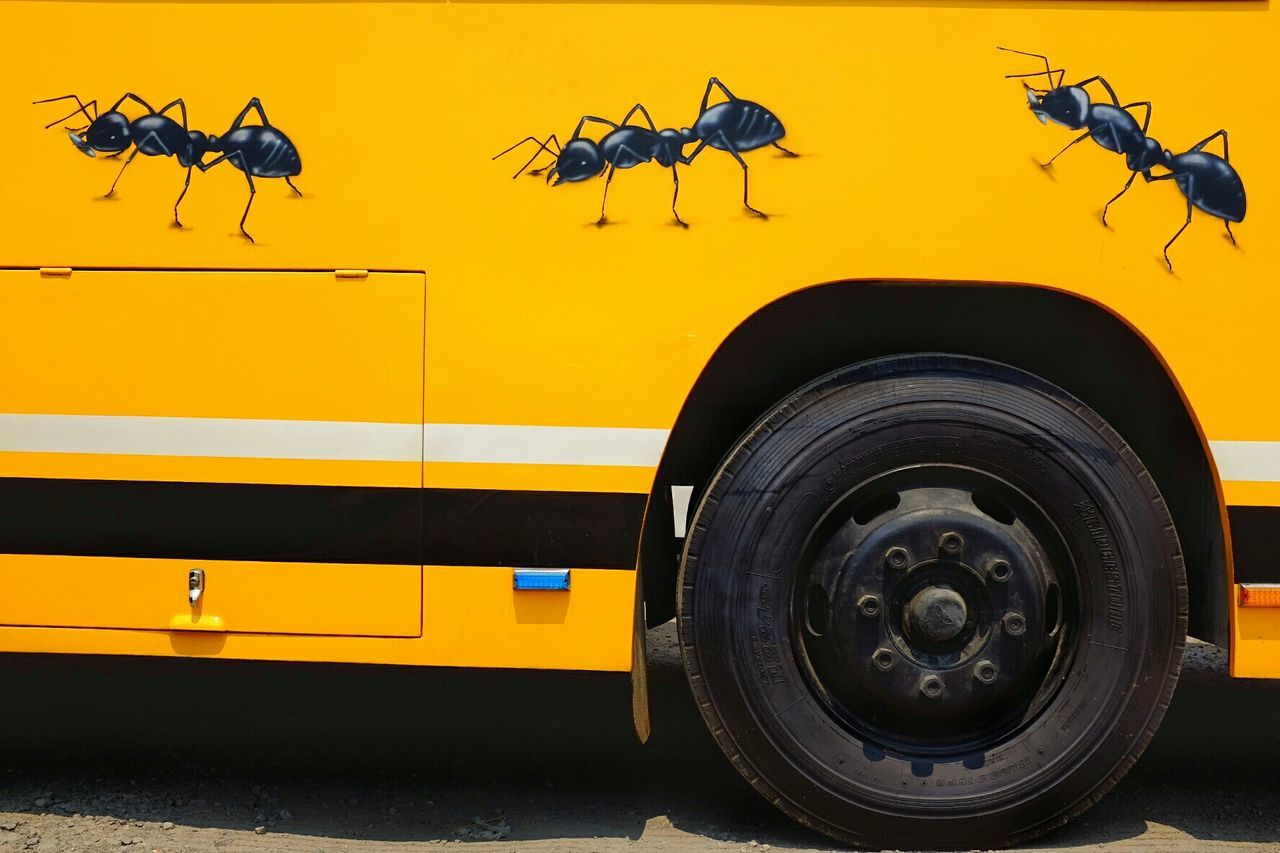 Drawing of ants on school bus