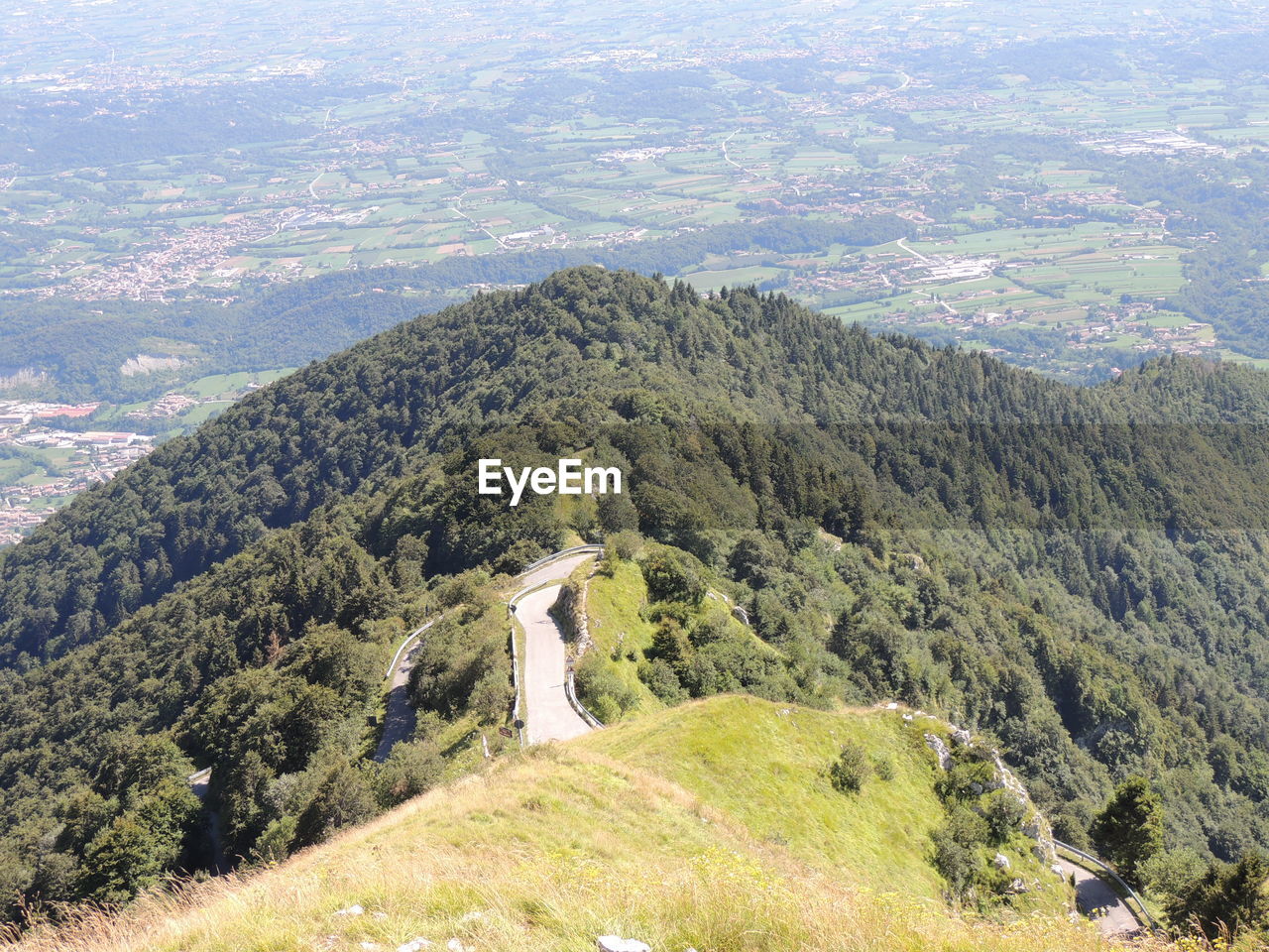 HIGH ANGLE VIEW OF TREES ON LANDSCAPE