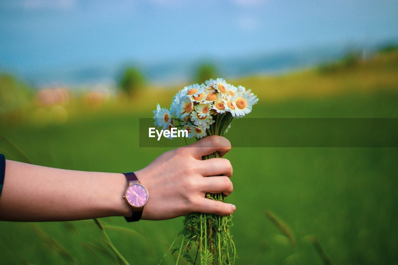 Close-up of human hand holding flowers on field