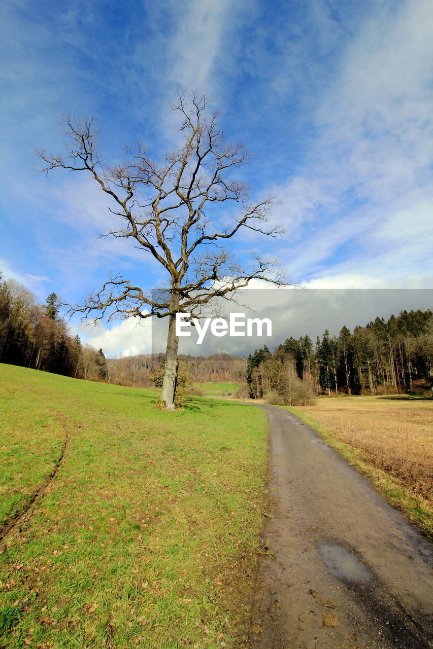 Road amidst bare trees on field against sky