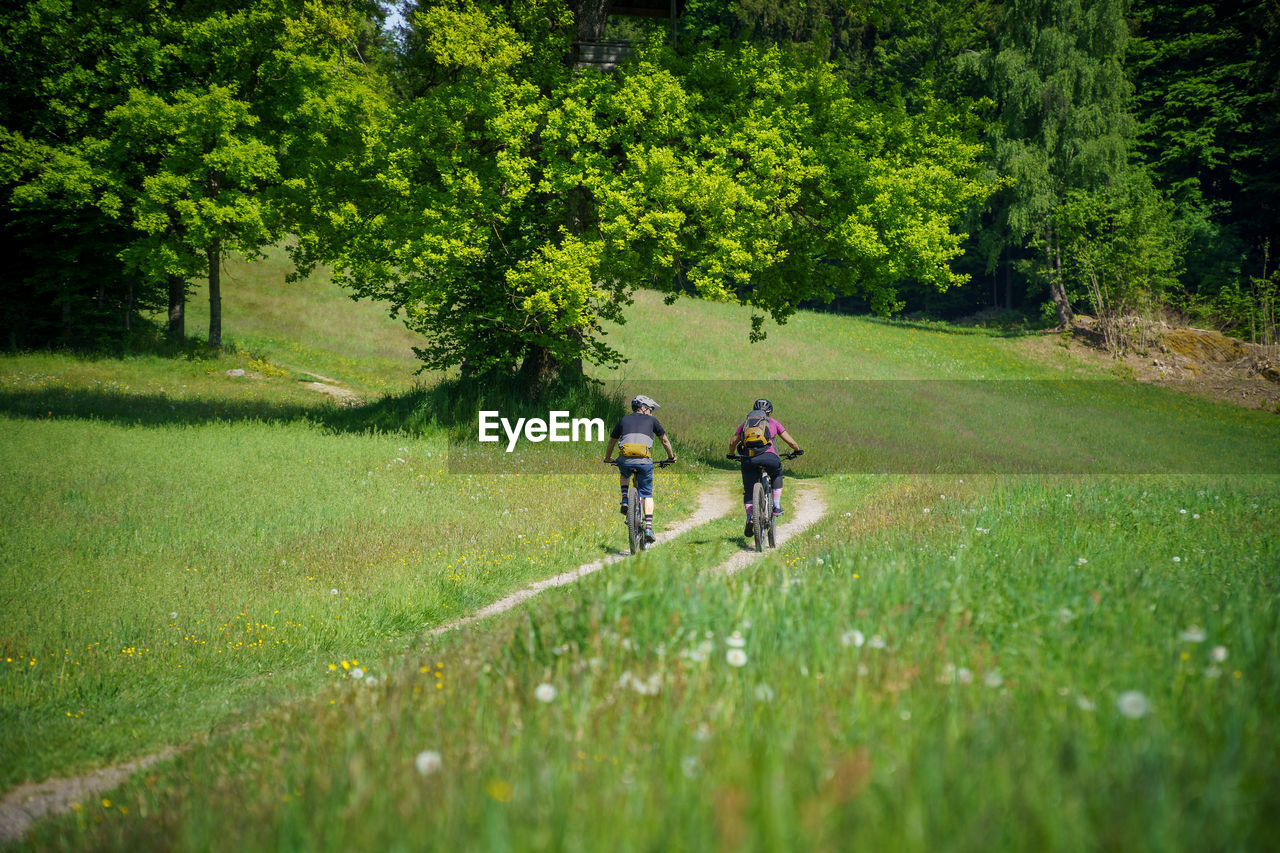 A young woman and a young man riding their mountain bikes on a singletrail near klagenfurt, austria.