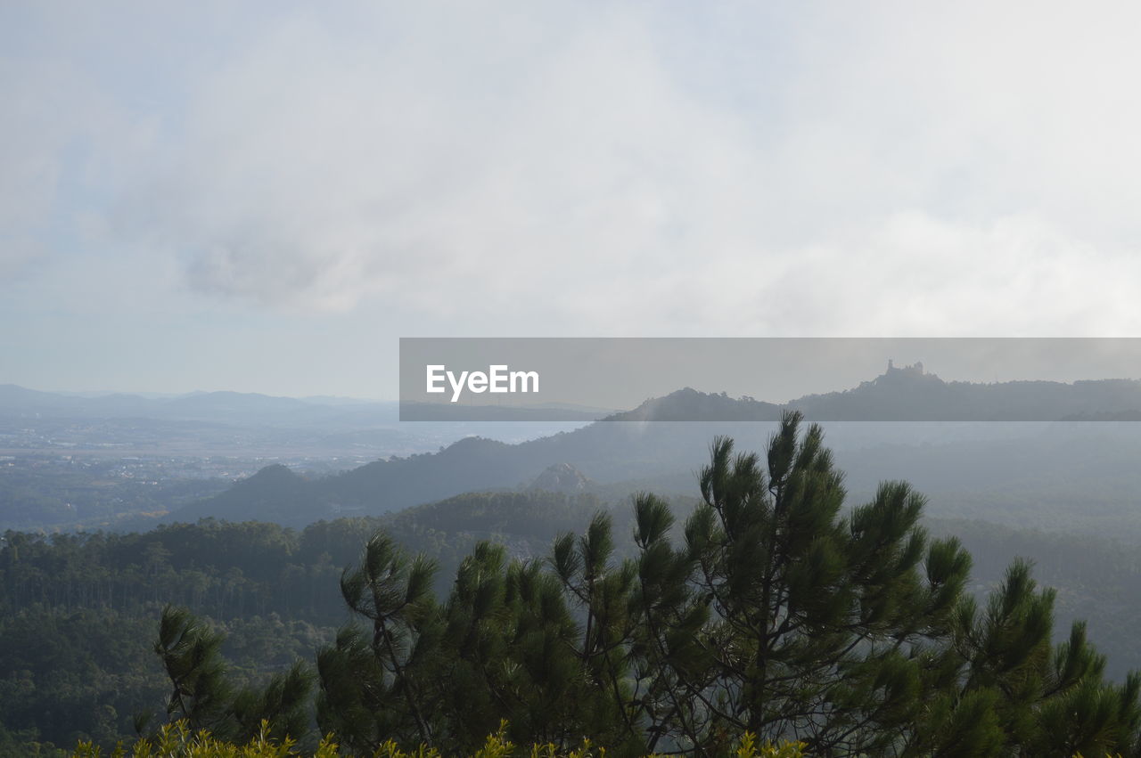 SCENIC VIEW OF TREES AND MOUNTAINS AGAINST SKY