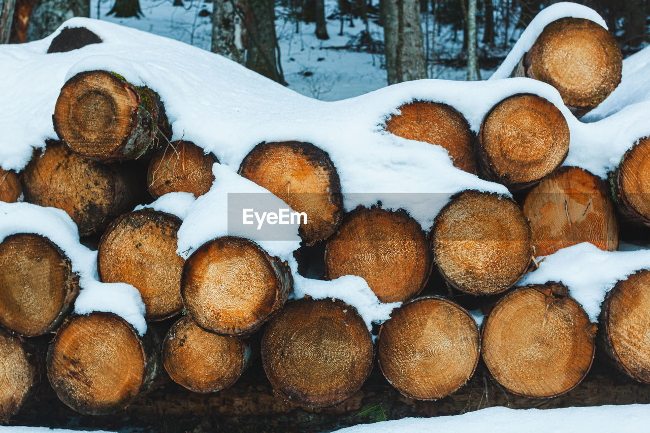 snow, winter, cold temperature, tree, large group of objects, nature, no people, forest, wood, timber, log, abundance, food, lumber industry, day, firewood, land, outdoors, plant, brown, food and drink, environment, deforestation, freshness