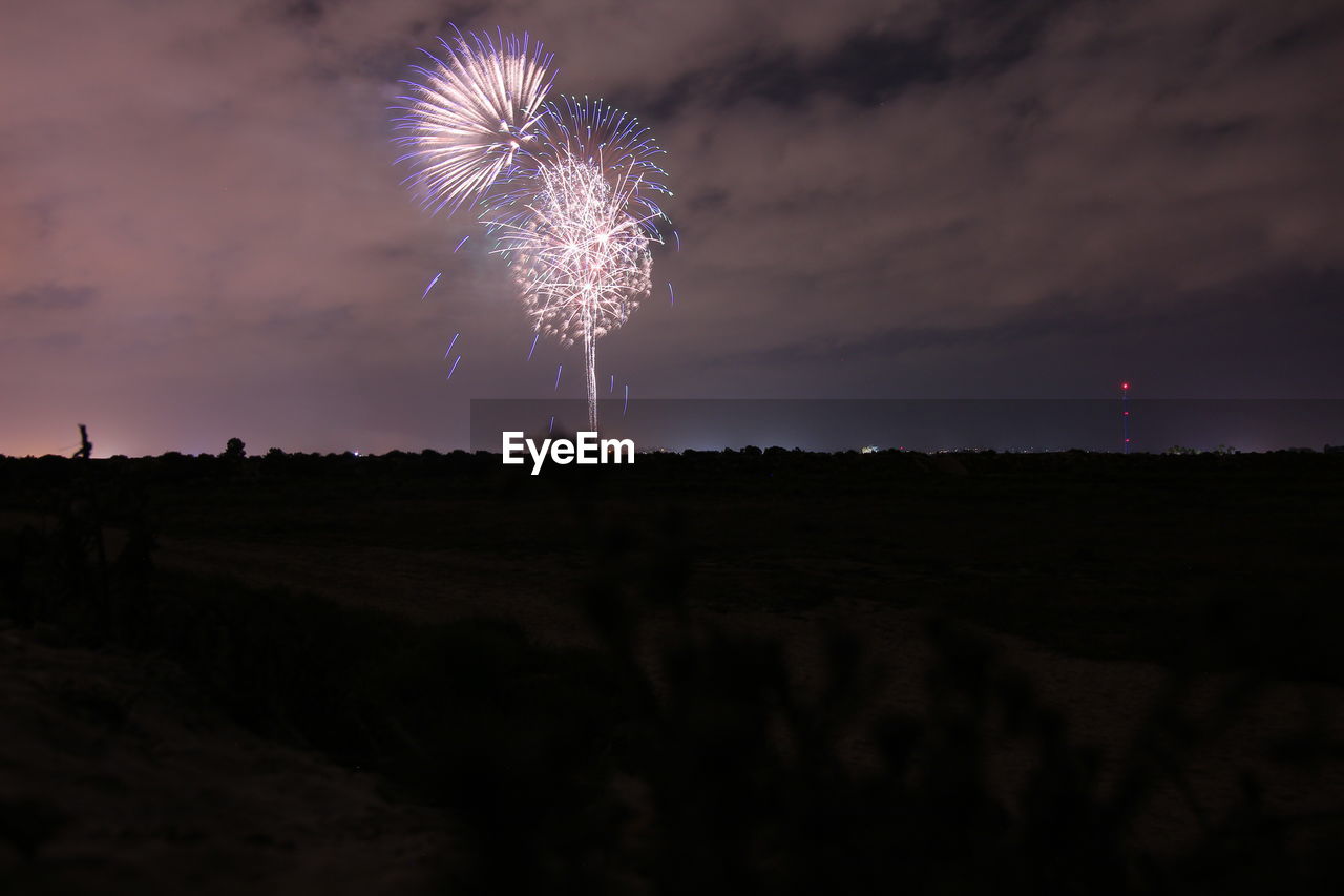 FIREWORK DISPLAY IN SKY AT NIGHT