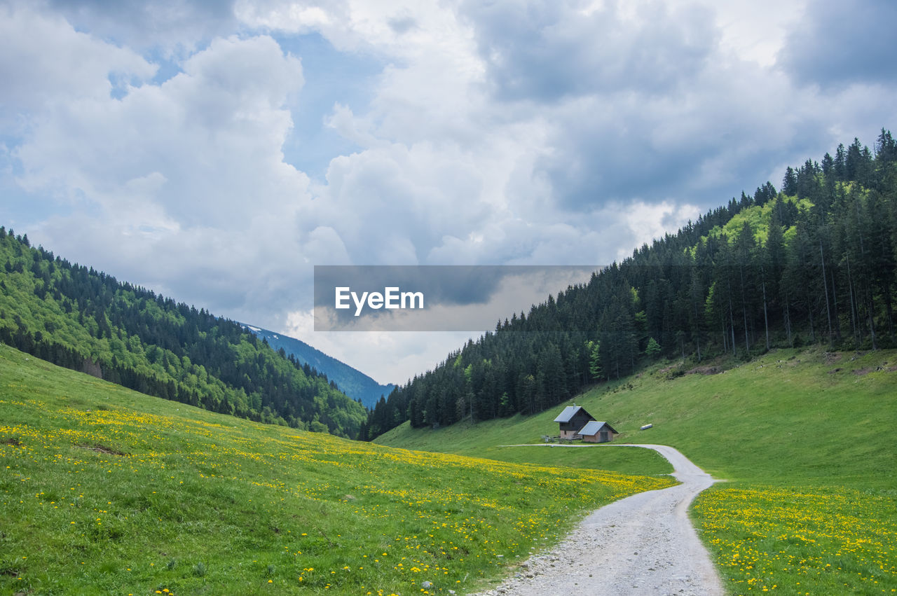 mountain range, plant, environment, meadow, cloud, mountain, nature, sky, landscape, land, grassland, scenics - nature, tree, beauty in nature, road, mountain pass, green, transportation, grass, highland, forest, ridge, plateau, travel, rural area, activity, pinaceae, valley, pine tree, coniferous tree, pine woodland, non-urban scene, tranquility, wilderness, pasture, leisure activity, no people, tranquil scene, travel destinations, rural scene, day, summer, outdoors, field, vacation, holiday, footpath, trip, tourism, journey, idyllic, plain, dirt road, foliage, lake, dirt, mode of transportation, curve, lush foliage