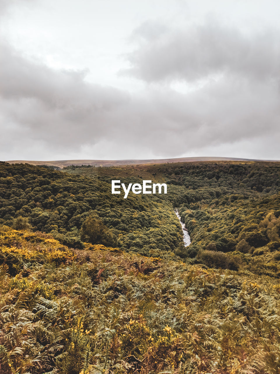 Scenic view of dartmoor landscape against sky