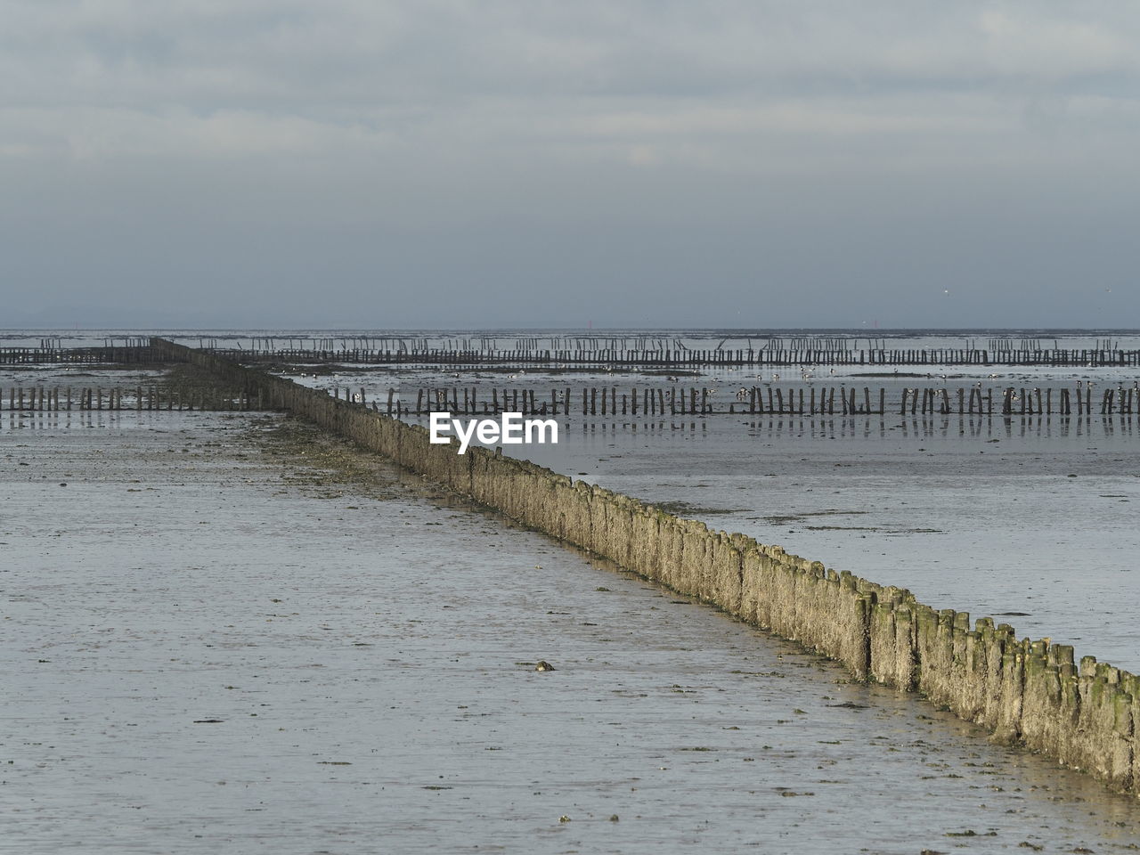 SCENIC VIEW OF BEACH