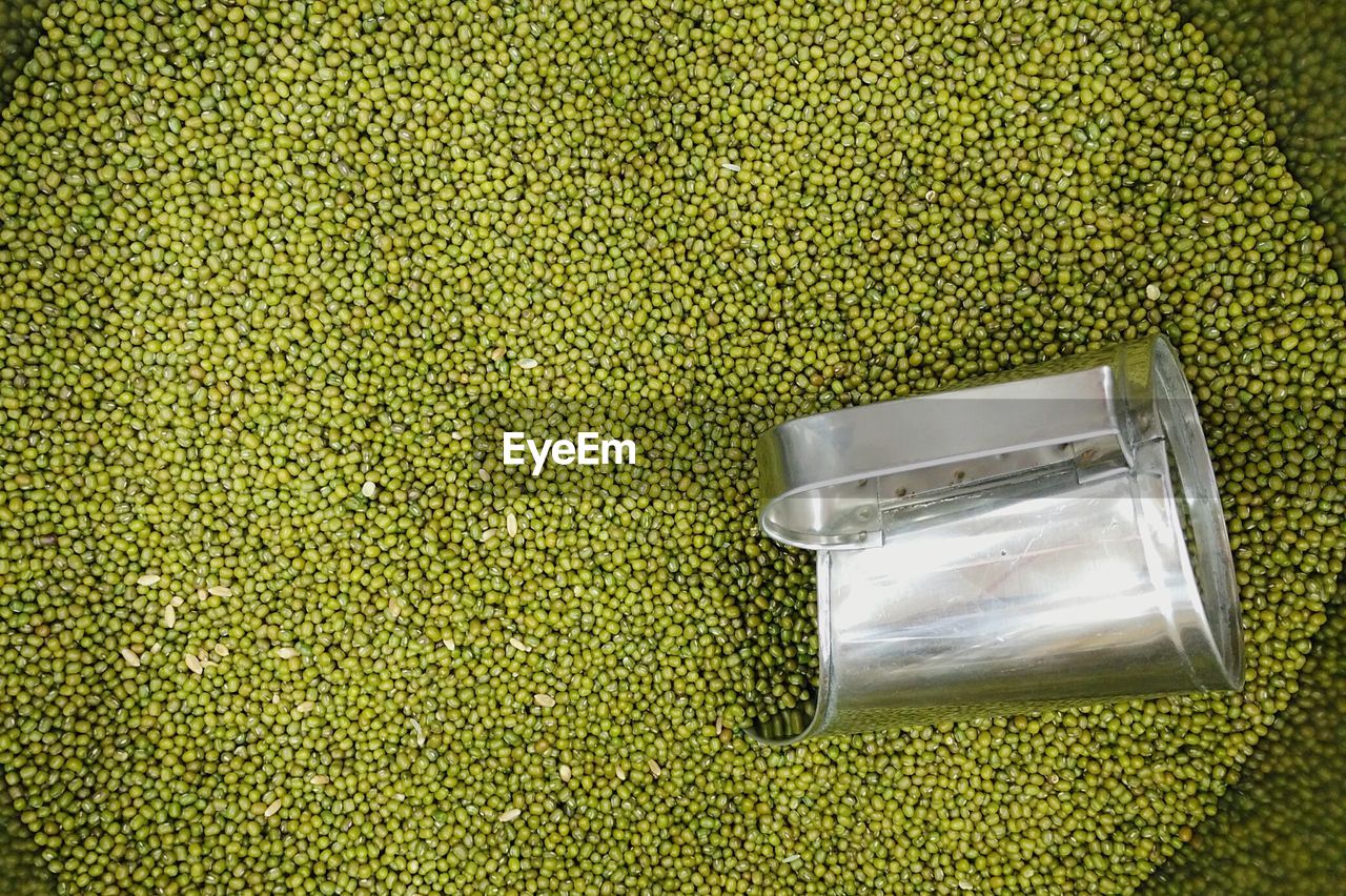 Directly above view of mung beans in container at shop
