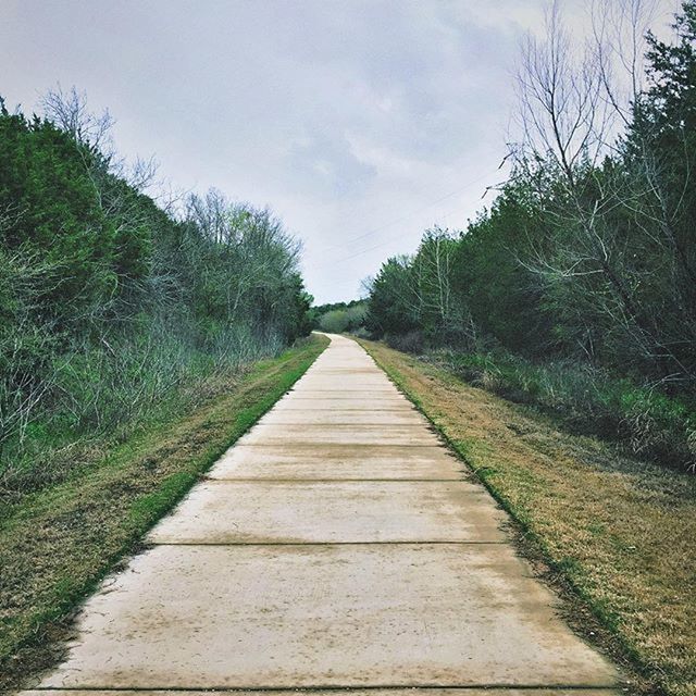 NARROW ROAD ALONG TREES