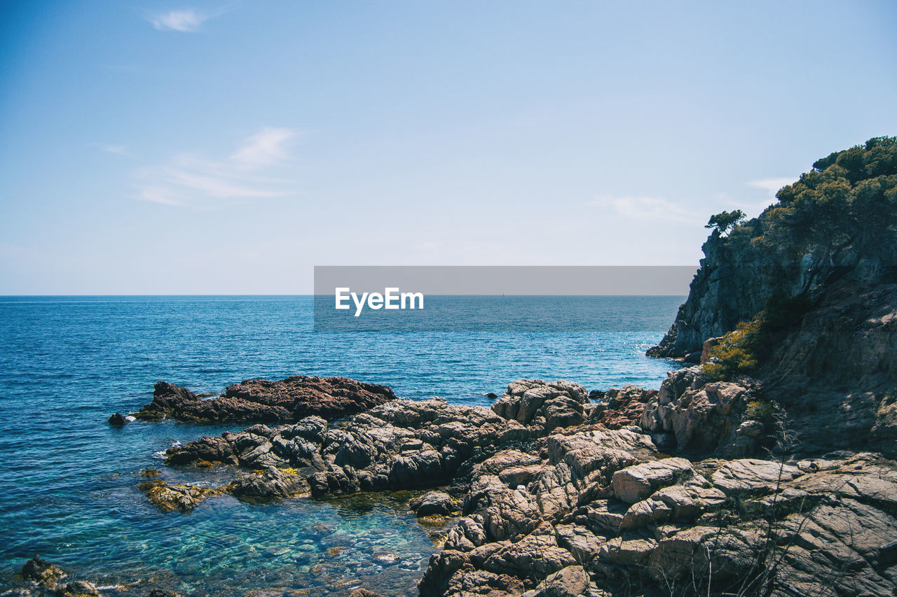 Seascape with views of a small rocky cove surrounded by a grove on a sunny day
