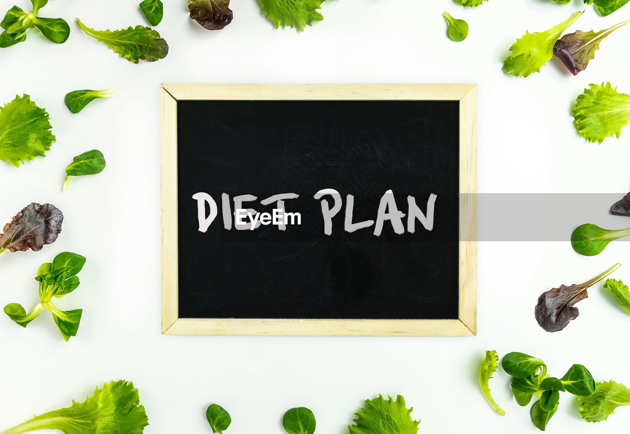 High angle view of blackboard by plants on white background