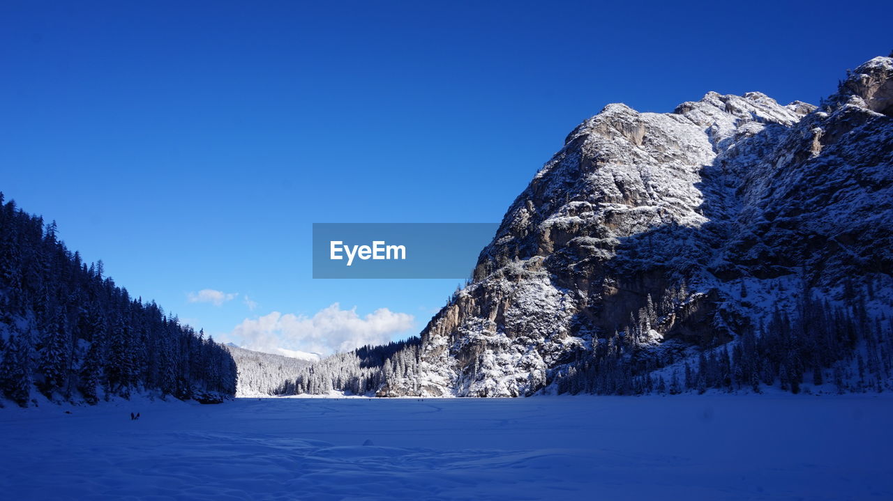 snow, cold temperature, winter, scenics - nature, mountain, mountain range, tree, beauty in nature, sky, environment, landscape, blue, nature, plant, tranquil scene, pine tree, forest, tranquility, coniferous tree, land, frozen, pinaceae, pine woodland, snowcapped mountain, clear sky, non-urban scene, no people, travel destinations, day, ice, white, woodland, outdoors, piste, travel, idyllic, ridge, wilderness, remote
