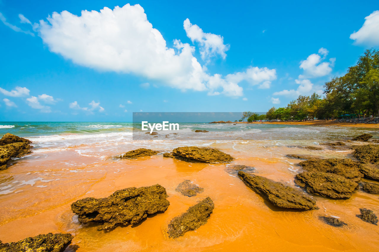 Scenic view of beach against sky