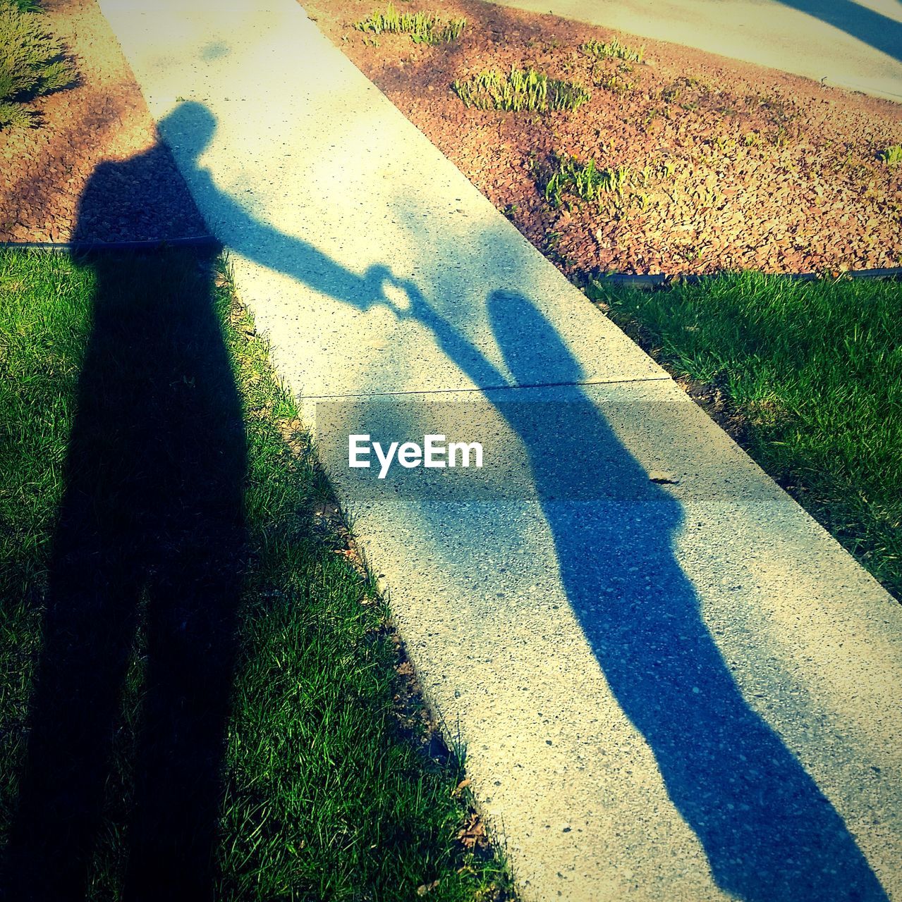 Shadow of people on grass