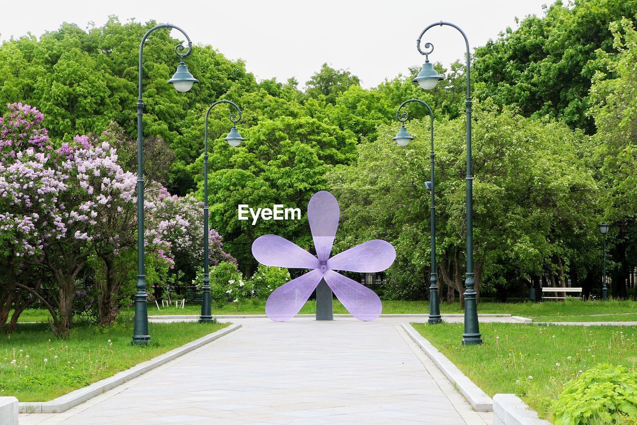 View of flowering plants in park