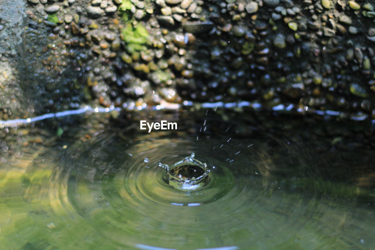 Close-up of water drop falling on lake