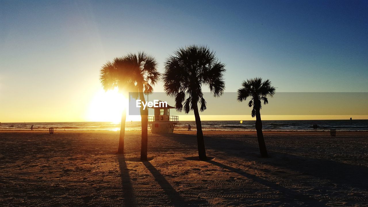 Silhouette palm trees on beach against sky during sunset