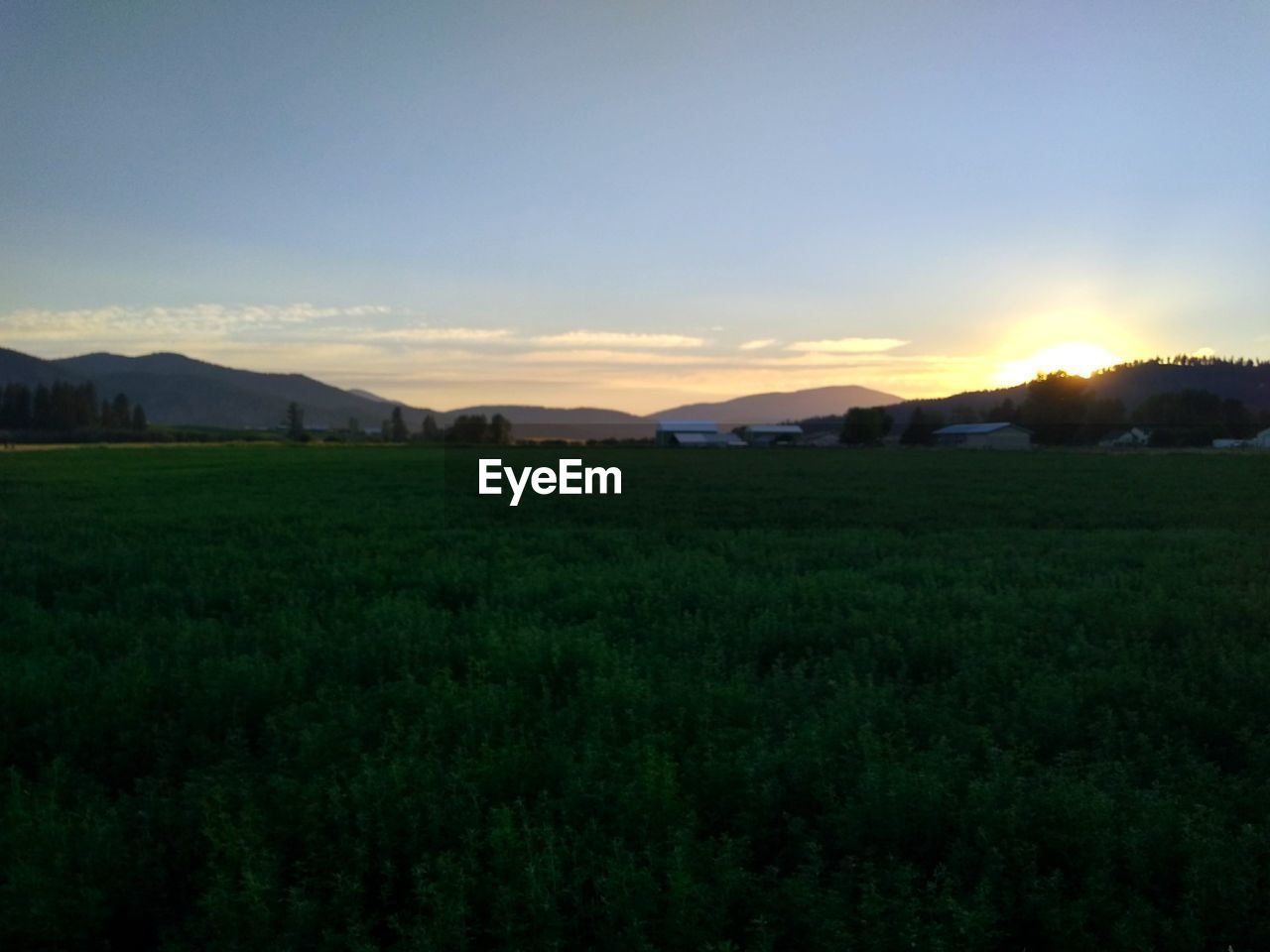 SCENIC VIEW OF FARM AGAINST SKY DURING SUNSET