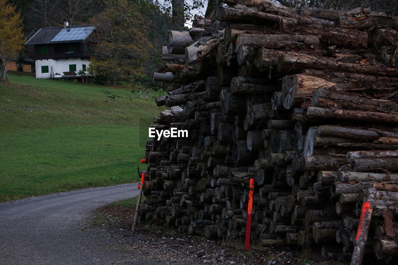 architecture, built structure, building, plant, tree, building exterior, nature, no people, house, transportation, day, grass, wood, outdoors, residential district, road, rural area, land, log