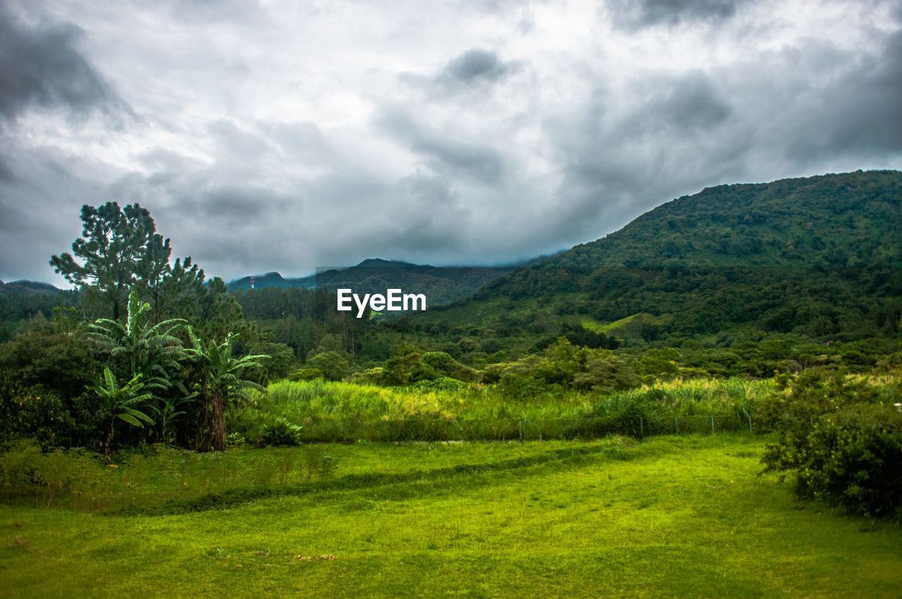 SCENIC VIEW OF FIELD BY MOUNTAINS AGAINST SKY