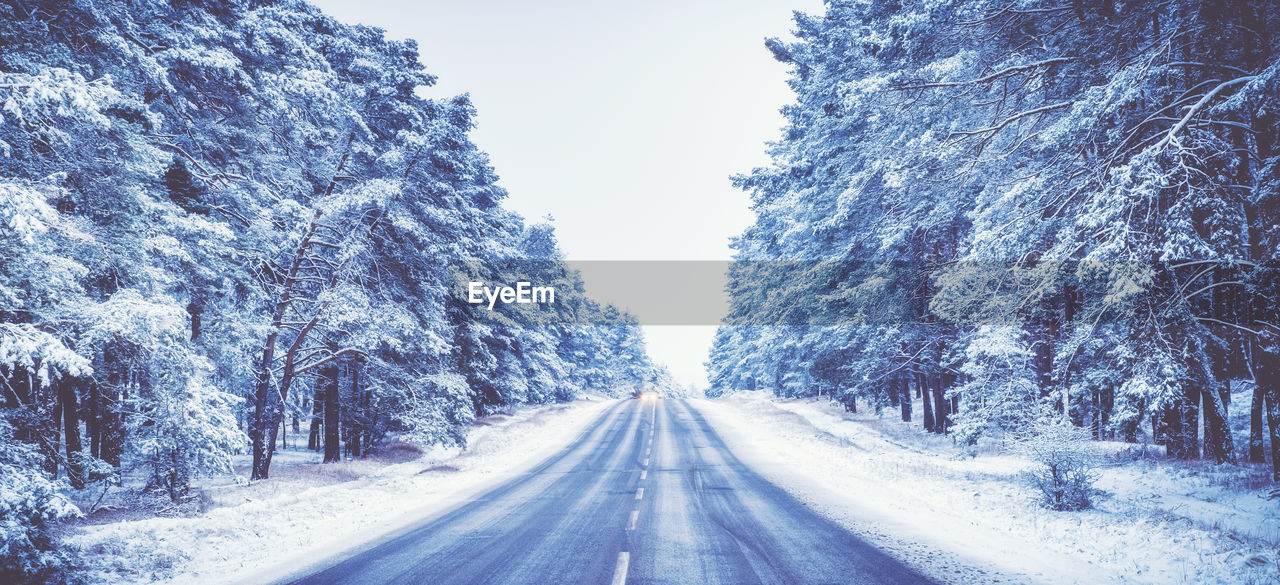 Diminishing perspective of road amidst snow covered trees in forest