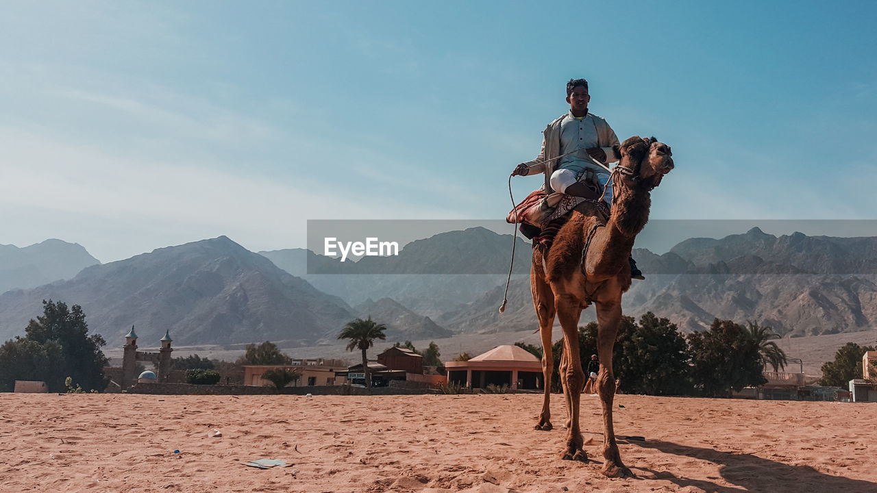 Man riding camel on sand against sky
