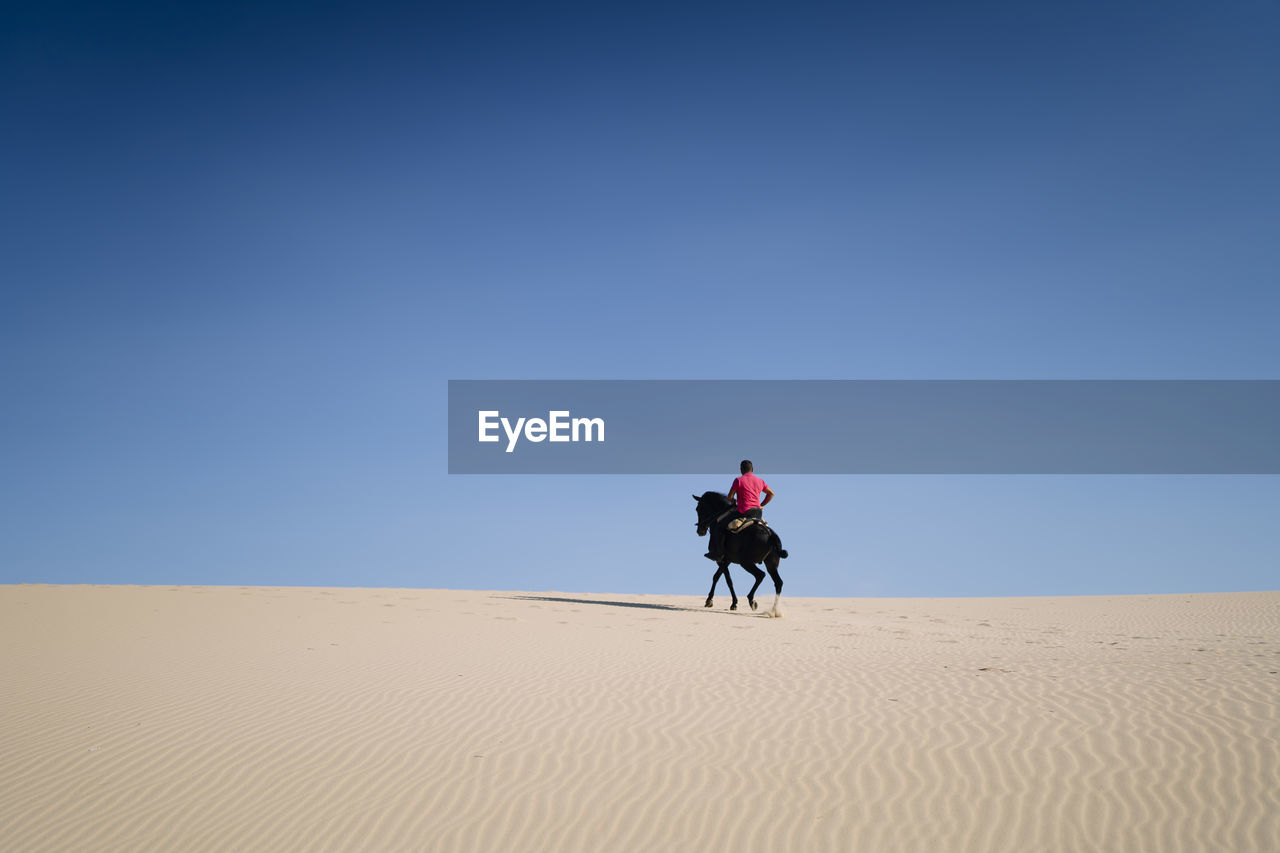 Male in red t shirt riding black horse on dry sand against cloudless blue sky on sunny day in desert