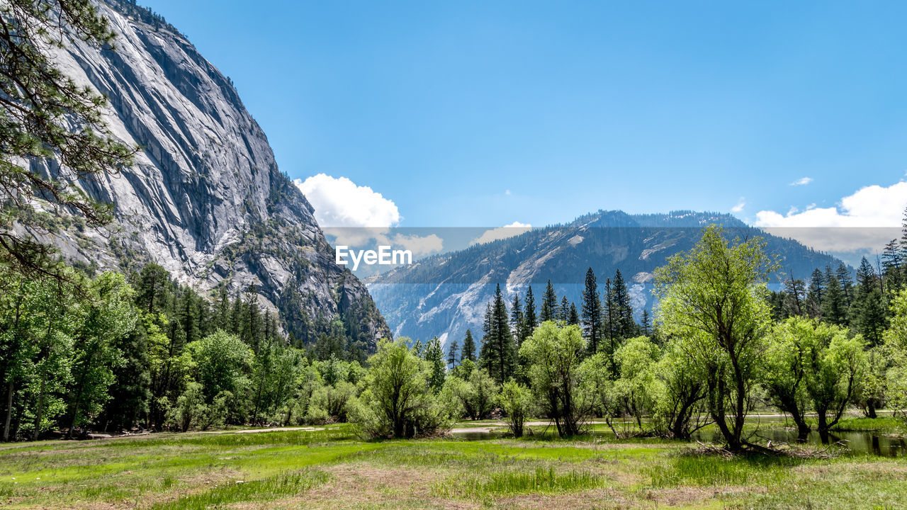 Scenic view of trees and mountains against sky