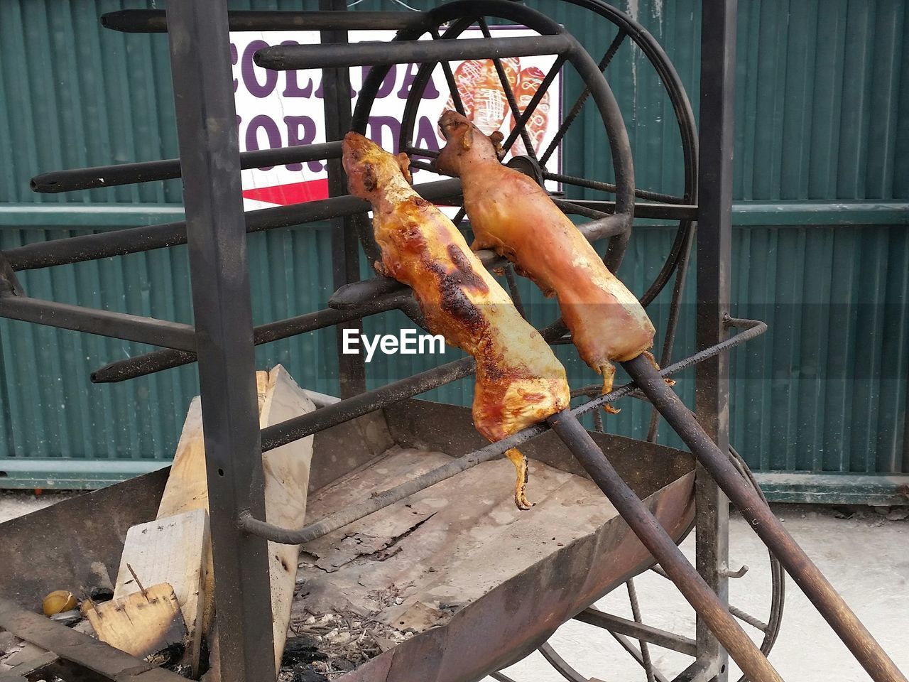 Guinea pigs on barbeque grills